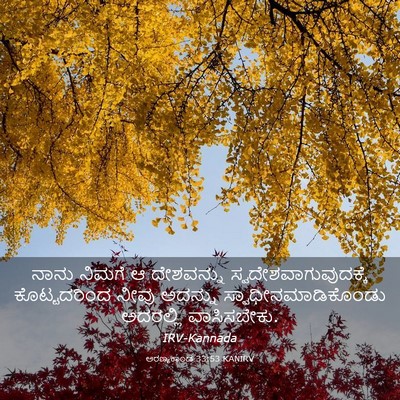 Picture 03 - ಅರಣ್ಯಕಾಂಡ 33:53 KANIRV - ನಾನು ನಿಮಗೆ ಆ - Bible Verse Picture