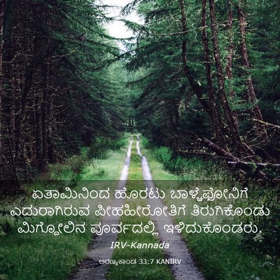 Picture 03 - ಅರಣ್ಯಕಾಂಡ 33:7 KANIRV - ಏತಾಮಿನಿಂದ ಹೊರಟು - Bible Verse Picture