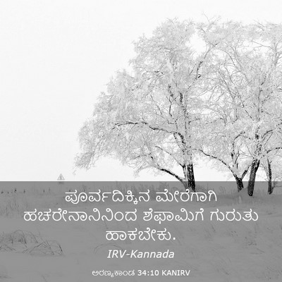 Picture 03 - ಅರಣ್ಯಕಾಂಡ 34:10 KANIRV - ಪೂರ್ವದಿಕ್ಕಿನ - Bible Verse Picture