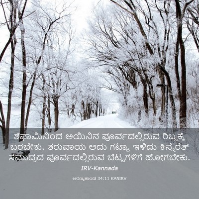 Picture 03 - ಅರಣ್ಯಕಾಂಡ 34:11 KANIRV - ಶೆಫಾಮಿನಿಂದ ಅಯಿನಿನ - Bible Verse Picture