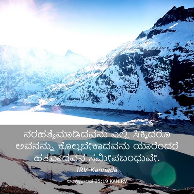 Picture 03 - ಅರಣ್ಯಕಾಂಡ 35:19 KANIRV - ನರಹತ್ಯೆಮಾಡಿದವನು - Bible Verse Picture