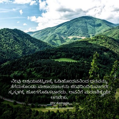 Picture 03 - ಅರಣ್ಯಕಾಂಡ 35:32 KANIRV - ನೀವು - Bible Verse Picture