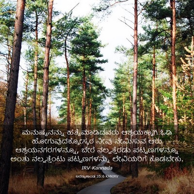Picture 03 - ಅರಣ್ಯಕಾಂಡ 35:6 KANIRV - ಮನುಷ್ಯನನ್ನು - Bible Verse Picture