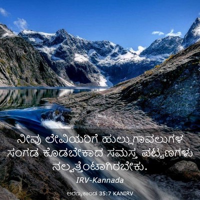 Picture 03 - ಅರಣ್ಯಕಾಂಡ 35:7 KANIRV - ನೀವು ಲೇವಿಯರಿಗೆ - Bible Verse Picture