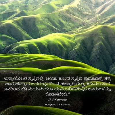 Picture 03 - ಅರಣ್ಯಕಾಂಡ 35:8 KANIRV - ಇಸ್ರಾಯೇಲರ - Bible Verse Picture