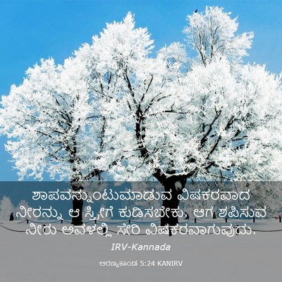 Picture 03 - ಅರಣ್ಯಕಾಂಡ 5:24 KANIRV - ಶಾಪವನ್ನುಂಟುಮಾಡುವ - Bible Verse Picture