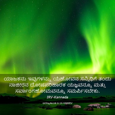 Picture 03 - ಅರಣ್ಯಕಾಂಡ 6:16 KANIRV - ಯಾಜಕನು ಇವುಗಳನ್ನು - Bible Verse Picture