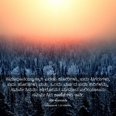 Picture 03 - ಅರಣ್ಯಕಾಂಡ 7:29 KANIRV - ಸಮಾಧಾನಯಜ್ಞಕ್ಕಾಗಿ - Bible Verse Picture