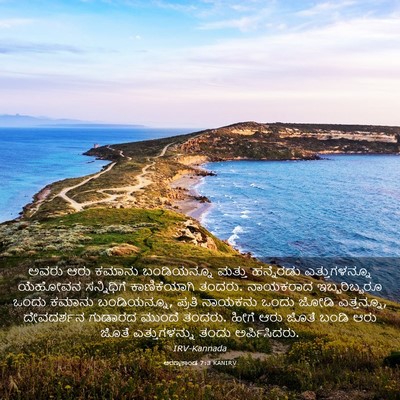 Picture 03 - ಅರಣ್ಯಕಾಂಡ 7:3 KANIRV - ಅವರು ಆರು ಕಮಾನು - Bible Verse Picture