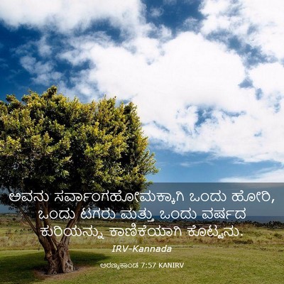 Picture 03 - ಅರಣ್ಯಕಾಂಡ 7:57 KANIRV - ಅವನು - Bible Verse Picture