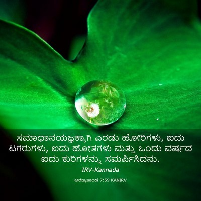 Picture 03 - ಅರಣ್ಯಕಾಂಡ 7:59 KANIRV - ಸಮಾಧಾನಯಜ್ಞಕ್ಕಾಗಿ - Bible Verse Picture