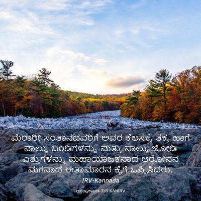 Picture 03 - ಅರಣ್ಯಕಾಂಡ 7:8 KANIRV - ಮೆರಾರೀ - Bible Verse Picture