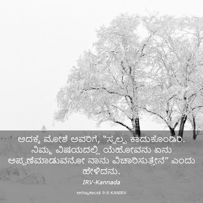Picture 03 - ಅರಣ್ಯಕಾಂಡ 9:8 KANIRV - ಅದಕ್ಕೆ ಮೋಶೆ - Bible Verse Picture
