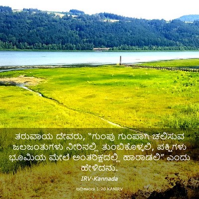 Picture 03 - ಆದಿಕಾಂಡ 1:20 KANIRV - ತರುವಾಯ ದೇವರು, - Bible Verse Picture