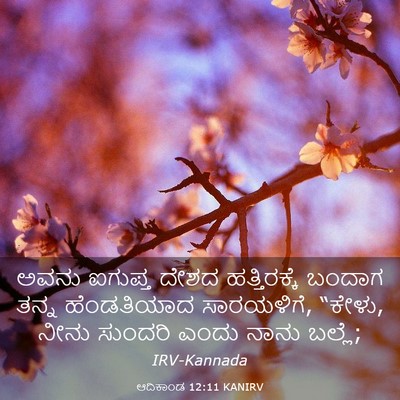 Picture 03 - ಆದಿಕಾಂಡ 12:11 KANIRV - ಅವನು ಐಗುಪ್ತ ದೇಶದ - Bible Verse Picture
