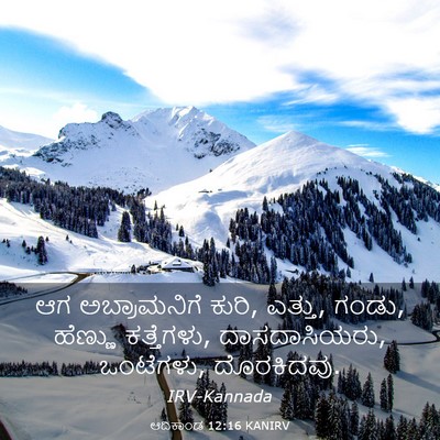 Picture 03 - ಆದಿಕಾಂಡ 12:16 KANIRV - ಆಗ ಅಬ್ರಾಮನಿಗೆ - Bible Verse Picture