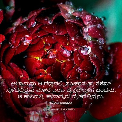 Picture 03 - ಆದಿಕಾಂಡ 12:6 KANIRV - ಅಬ್ರಾಮನು ಆ - Bible Verse Picture