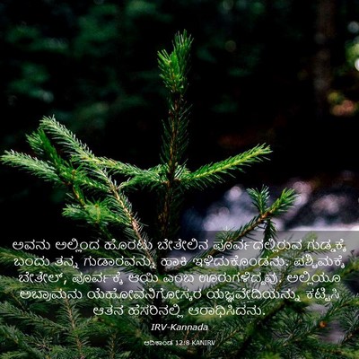 Picture 03 - ಆದಿಕಾಂಡ 12:8 KANIRV - ಅವನು ಅಲ್ಲಿಂದ - Bible Verse Picture