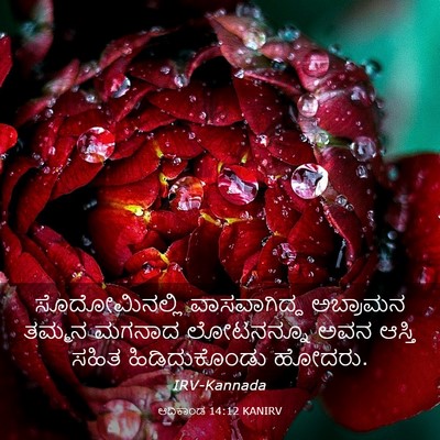 Picture 03 - ಆದಿಕಾಂಡ 14:12 KANIRV - ಸೊದೋಮಿನಲ್ಲಿ - Bible Verse Picture