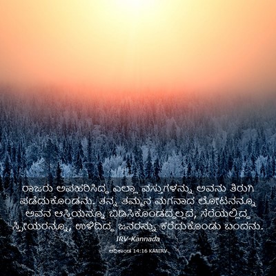 Picture 03 - ಆದಿಕಾಂಡ 14:16 KANIRV - ರಾಜರು ಅಪಹರಿಸಿದ್ದ - Bible Verse Picture