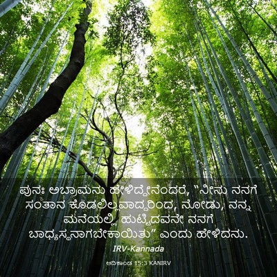 Picture 03 - ಆದಿಕಾಂಡ 15:3 KANIRV - ಪುನಃ ಅಬ್ರಾಮನು - Bible Verse Picture