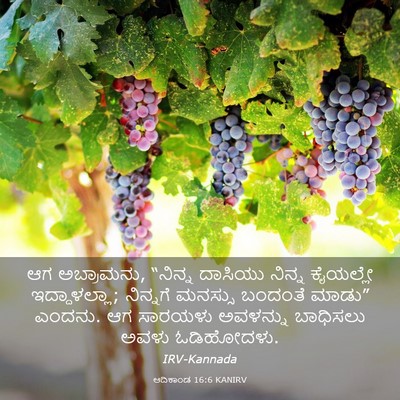 Picture 03 - ಆದಿಕಾಂಡ 16:6 KANIRV - ಆಗ ಅಬ್ರಾಮನು, - Bible Verse Picture