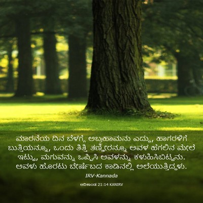 Picture 03 - ಆದಿಕಾಂಡ 21:14 KANIRV - ಮಾರನೆಯ ದಿನ - Bible Verse Picture