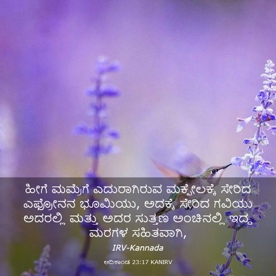 Picture 03 - ಆದಿಕಾಂಡ 23:17 KANIRV - ಹೀಗೆ ಮಮ್ರೆಗೆ - Bible Verse Picture