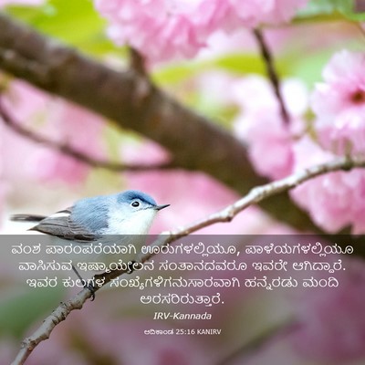 Picture 03 - ಆದಿಕಾಂಡ 25:16 KANIRV - ವಂಶ ಪಾರಂಪರೆಯಾಗಿ - Bible Verse Picture