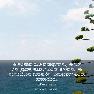 Picture 03 - ಆದಿಕಾಂಡ 25:30 KANIRV - ಆ ಕೆಂಪಾದ ರುಚಿ - Bible Verse Picture
