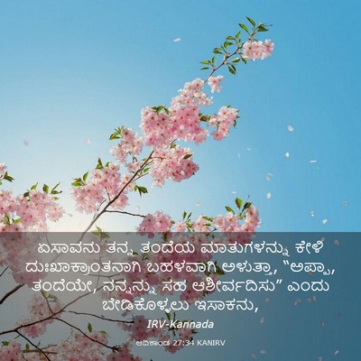 Picture 03 - ಆದಿಕಾಂಡ 27:34 KANIRV - ಏಸಾವನು ತನ್ನ ತಂದೆಯ - Bible Verse Picture