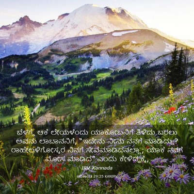 Picture 03 - ಆದಿಕಾಂಡ 29:25 KANIRV - ಬೆಳಗ್ಗೆ ಆಕೆ - Bible Verse Picture