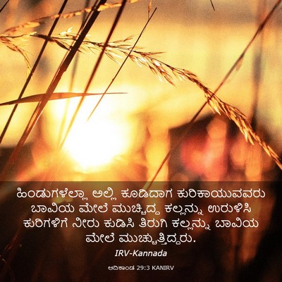 Picture 03 - ಆದಿಕಾಂಡ 29:3 KANIRV - ಹಿಂಡುಗಳೆಲ್ಲಾ - Bible Verse Picture