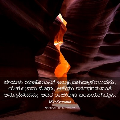Picture 03 - ಆದಿಕಾಂಡ 29:31 KANIRV - ಲೇಯಳು ಯಾಕೋಬನಿಗೆ - Bible Verse Picture