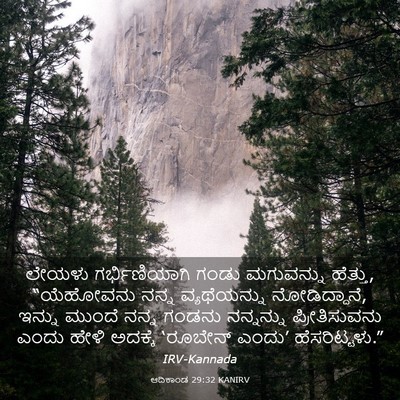 Picture 03 - ಆದಿಕಾಂಡ 29:32 KANIRV - ಲೇಯಳು ಗರ್ಭಿಣಿಯಾಗಿ - Bible Verse Picture