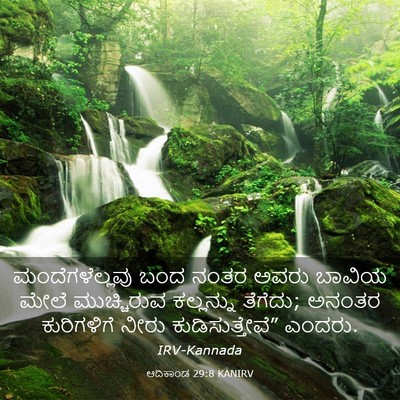 Picture 03 - ಆದಿಕಾಂಡ 29:8 KANIRV - ಮಂದೆಗಳೆಲ್ಲವು ಬಂದ - Bible Verse Picture