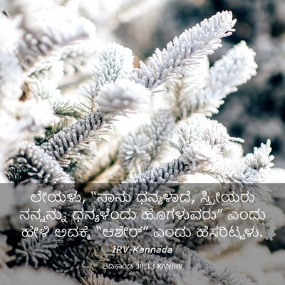 Picture 03 - ಆದಿಕಾಂಡ 30:13 KANIRV - ಲೇಯಳು, “ನಾನು - Bible Verse Picture