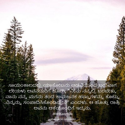 Picture 03 - ಆದಿಕಾಂಡ 30:16 KANIRV - ಸಾಯಂಕಾಲದಲ್ಲಿ - Bible Verse Picture