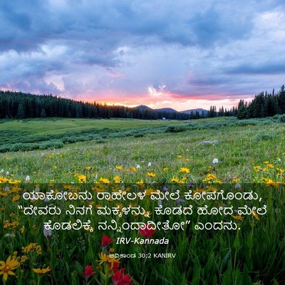 Picture 03 - ಆದಿಕಾಂಡ 30:2 KANIRV - ಯಾಕೋಬನು ರಾಹೇಲಳ - Bible Verse Picture