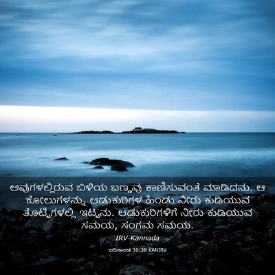Picture 03 - ಆದಿಕಾಂಡ 30:38 KANIRV - ಅವುಗಳಲ್ಲಿರುವ - Bible Verse Picture