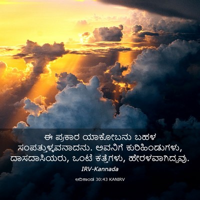 Picture 03 - ಆದಿಕಾಂಡ 30:43 KANIRV - ಈ ಪ್ರಕಾರ ಯಾಕೋಬನು - Bible Verse Picture