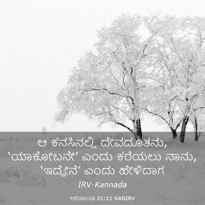 Picture 03 - ಆದಿಕಾಂಡ 31:11 KANIRV - ಆ ಕನಸಿನಲ್ಲಿ - Bible Verse Picture