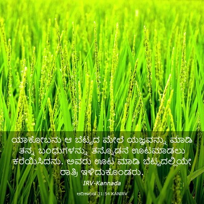 Picture 03 - ಆದಿಕಾಂಡ 31:54 KANIRV - ಯಾಕೋಬನು ಆ ಬೆಟ್ಟದ - Bible Verse Picture