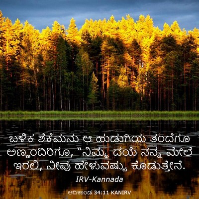 Picture 03 - ಆದಿಕಾಂಡ 34:11 KANIRV - ಬಳಿಕ ಶೆಕೆಮನು ಆ - Bible Verse Picture