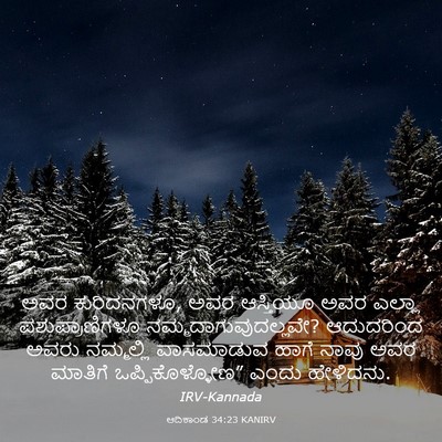 Picture 03 - ಆದಿಕಾಂಡ 34:23 KANIRV - ಅವರ ಕುರಿದನಗಳೂ, ಅವರ - Bible Verse Picture