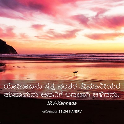 Picture 03 - ಆದಿಕಾಂಡ 36:34 KANIRV - ಯೋಬಾಬನು ಸತ್ತ ನಂತರ - Bible Verse Picture