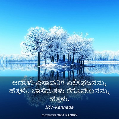 Picture 03 - ಆದಿಕಾಂಡ 36:4 KANIRV - ಆದಾಳು ಏಸಾವನಿಗೆ - Bible Verse Picture