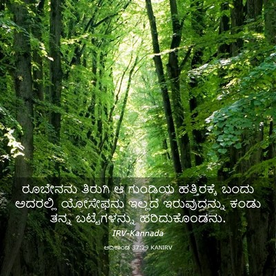 Picture 03 - ಆದಿಕಾಂಡ 37:29 KANIRV - ರೂಬೇನನು ತಿರುಗಿ ಆ - Bible Verse Picture