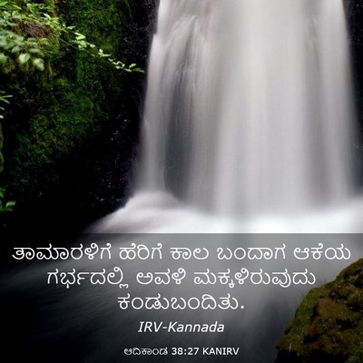 Picture 03 - ಆದಿಕಾಂಡ 38:27 KANIRV - ತಾಮಾರಳಿಗೆ ಹೆರಿಗೆ - Bible Verse Picture