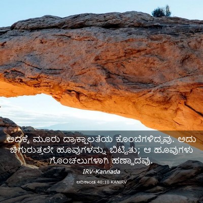 Picture 03 - ಆದಿಕಾಂಡ 40:10 KANIRV - ಅದಕ್ಕೆ ಮೂರು - Bible Verse Picture